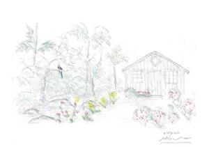 0404okura_b2.jpg
