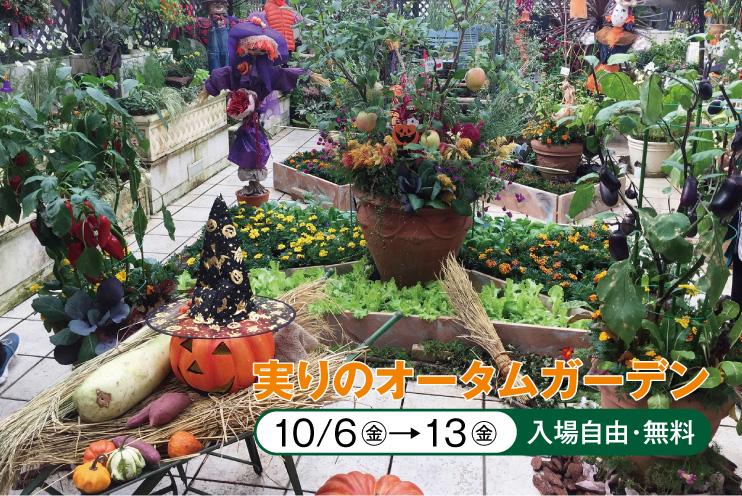 ファンケル 銀座スクエア