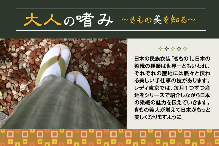 大人の嗜み 〜きもの美を知る〜