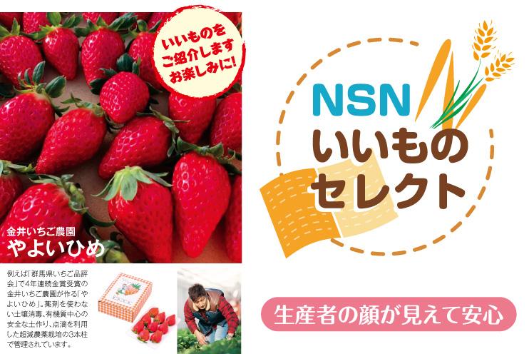 ニュースサービス日経