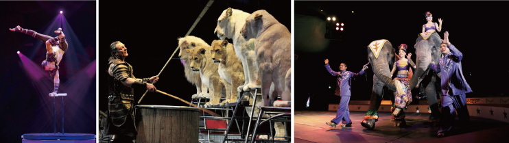 木下大サーカス_handstanding_奇跡のホワイトライオン世界猛獣ショー_かわいい象さんのショー