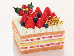 ロイヤルパークホテル