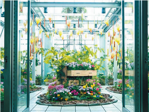 ファンケル 銀座スクエア