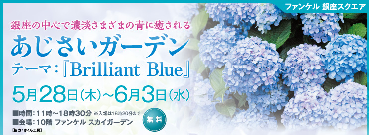 ファンケル 銀座スクエア